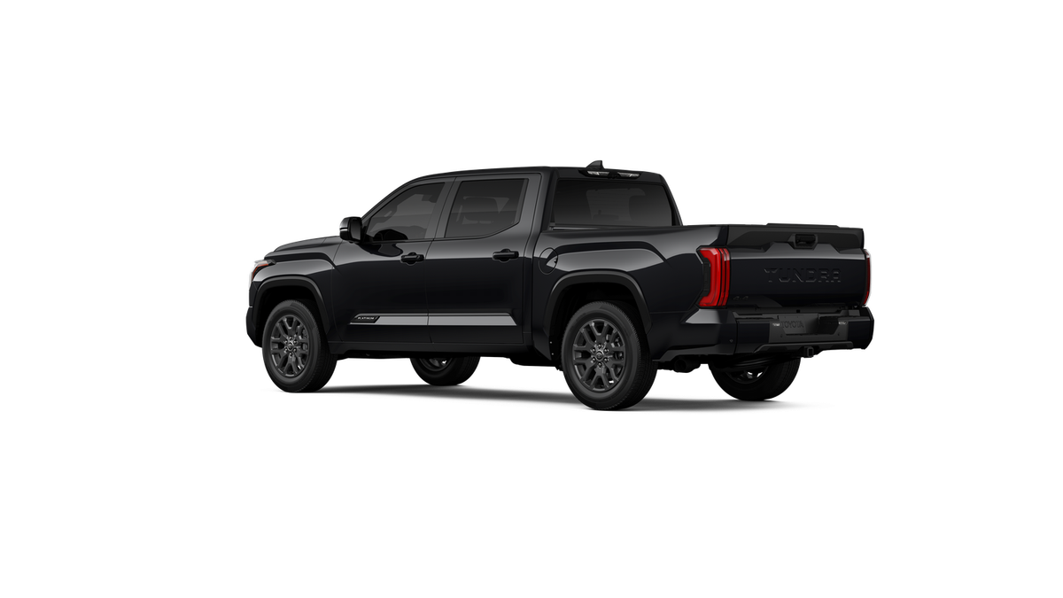 New 2025 Toyota Tundra Platinum in Hickory NC | 5TFNA5DB3SX307149