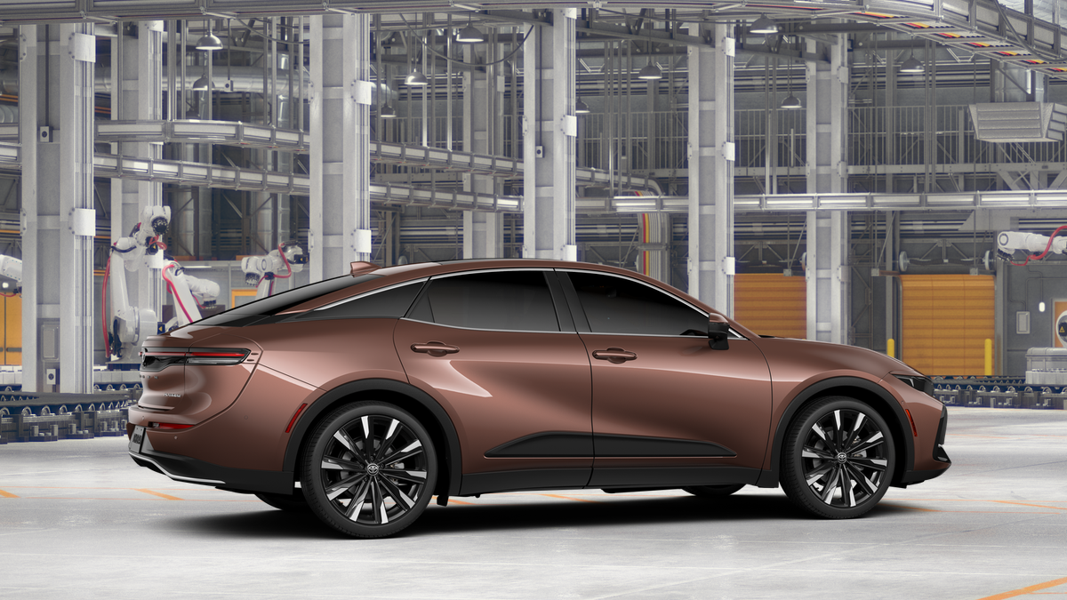 New 2026 Bronze Age <sup>1</sup> Toyota  Platinum image 13