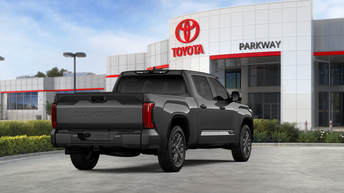 New 2026 Magnetic Gray Metallic Toyota  Platinum image 31