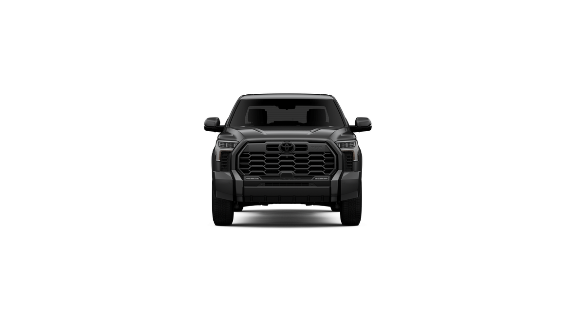 New 2026 Magnetic Gray Metallic Toyota  Platinum image 19