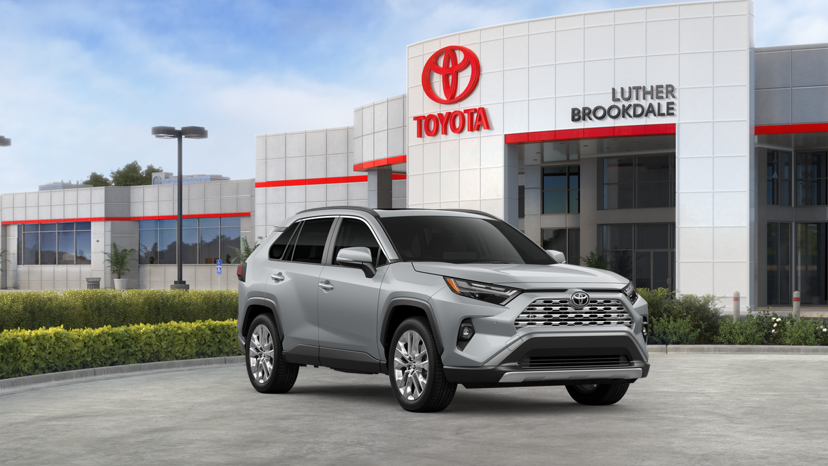 2025 Toyota RAV4 Limited photo 14